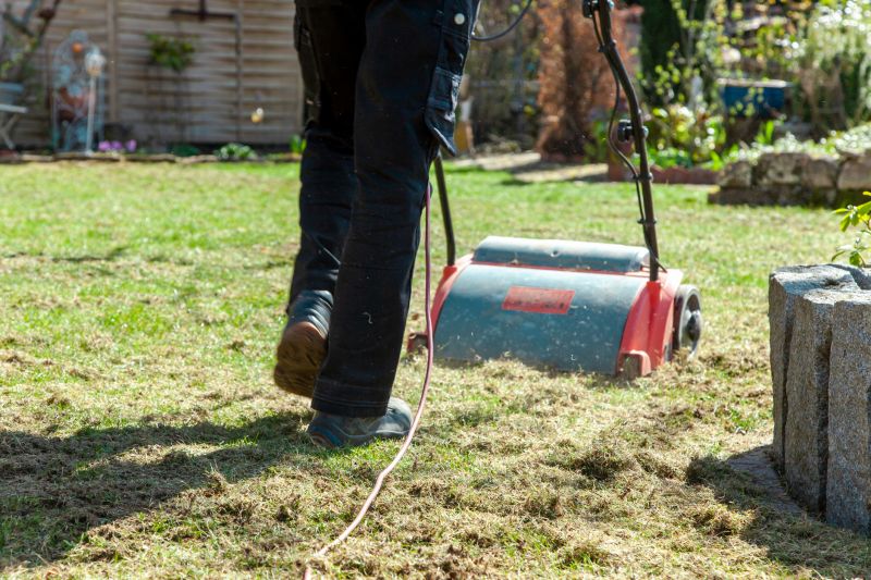Power Raking Service Promotions