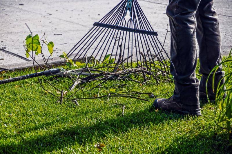Power Raking Service