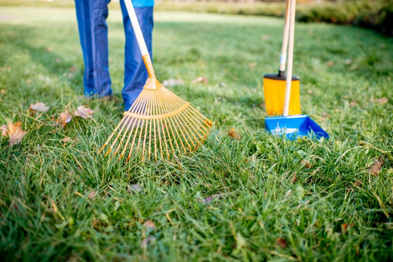 Power Raking Service