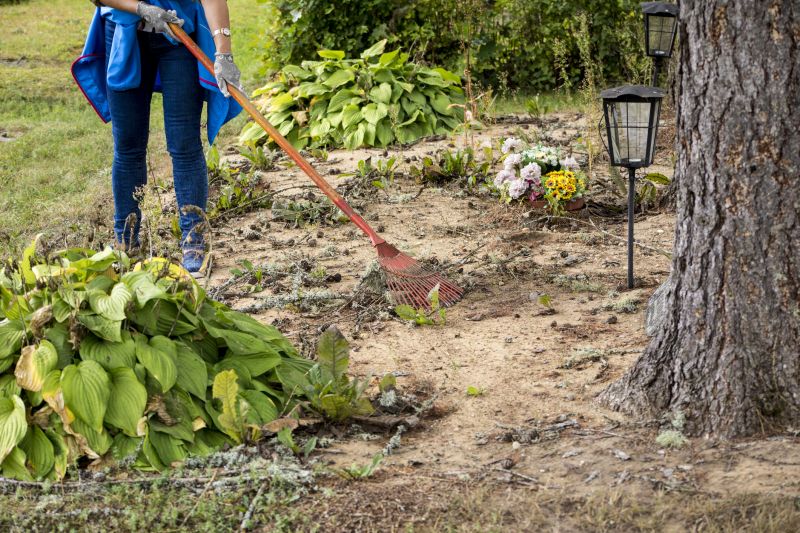 Power Raking Service