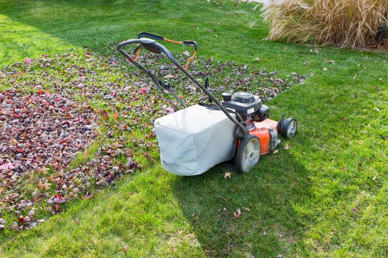 Professional Equipment for Lawn Care