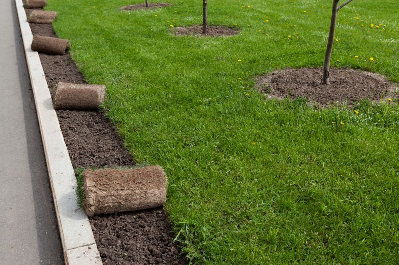 Sod Installation in Rockwall, TX