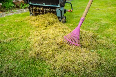 Remove Dead Grass, Leaves, and Debris from Your Lawn with Power Raking!