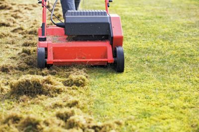Promote Healthy Growth of Grass with Power Raking Service!